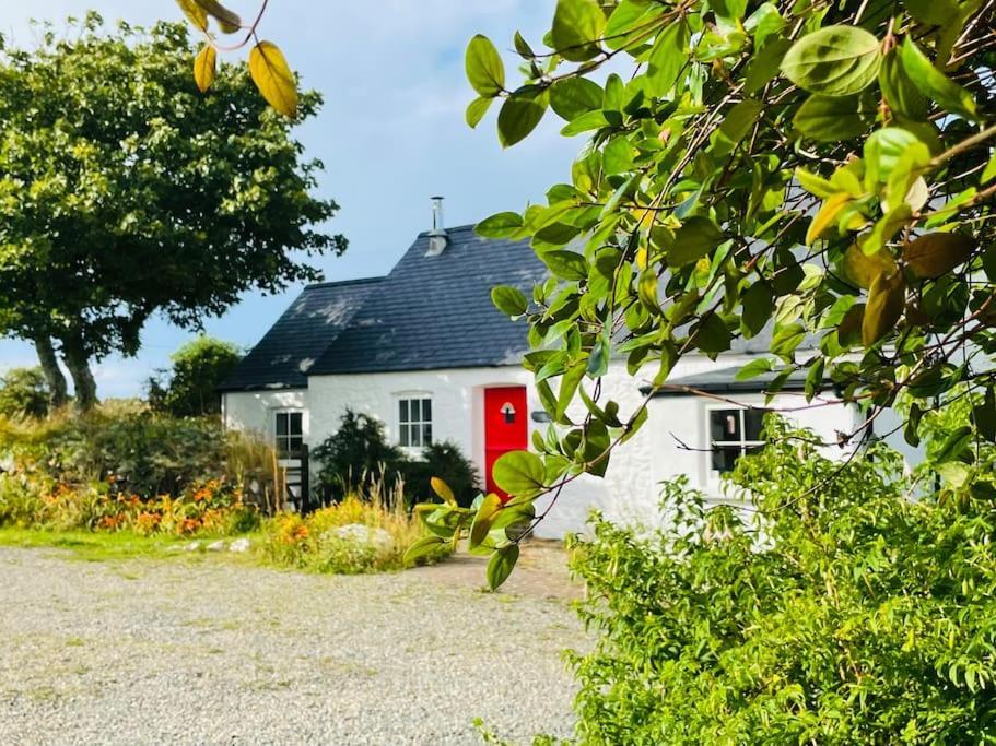 The Dairy @ Trefechan Wen Goodwick Eksteriør billede