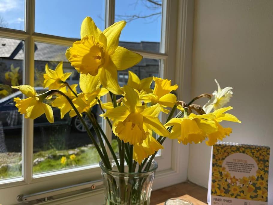 The Dairy @ Trefechan Wen Goodwick Eksteriør billede