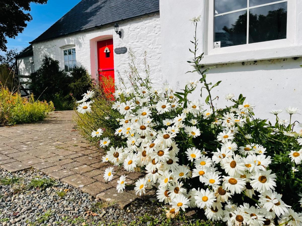 The Dairy @ Trefechan Wen Goodwick Eksteriør billede